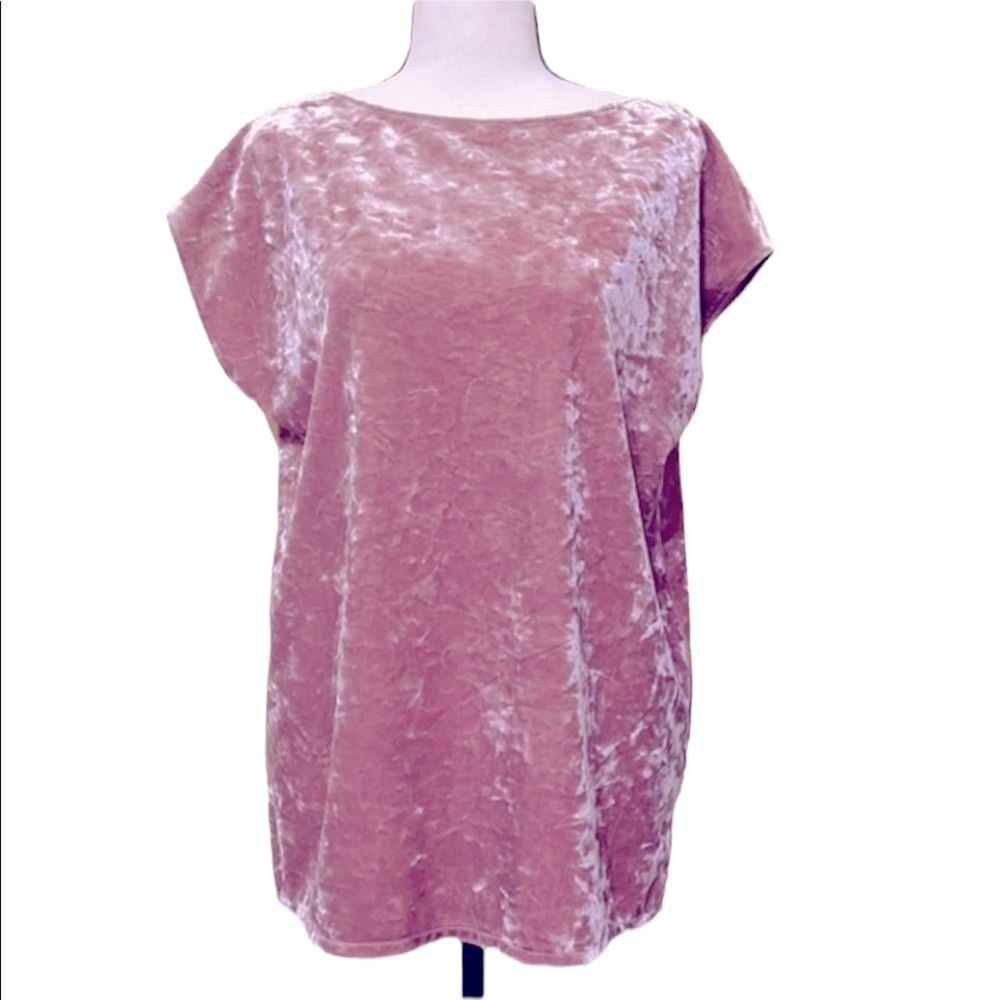 Vince Camuto Velvet Batwing Sleeve Peach Top Size S.